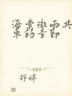 海棠微雨共归途车的章节