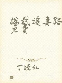 总裁追妻路漫漫免费