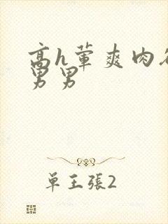 高h荤爽肉欲文男男