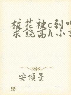 校花被c到呻吟求饶高h小说