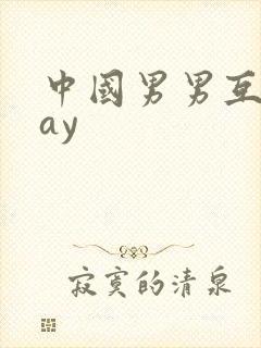 中国男男互操gay