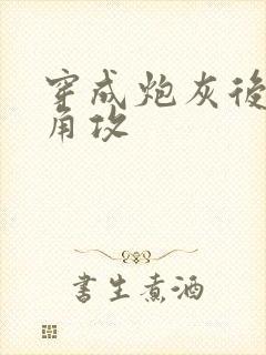 穿成炮灰后把主角攻