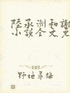 陆承洲和谢晚星小说全文免费阅读