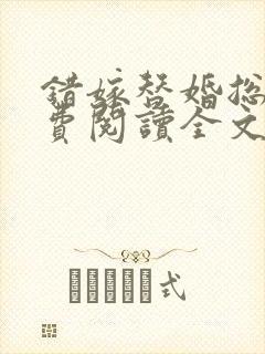 错嫁替婚总裁免费阅读全文