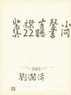 紫襟有声小说全集22听书网封面