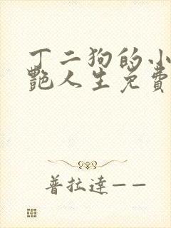 丁二狗的小说猎艳人生免费阅读全文