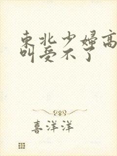 东北少妇高潮大叫受不了