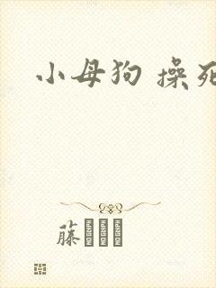 小母狗 操死你