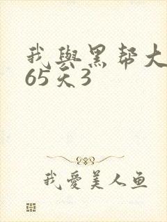 我与黑帮大佬365天3