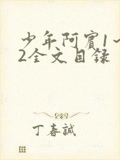 少年阿宾1～72全文目录