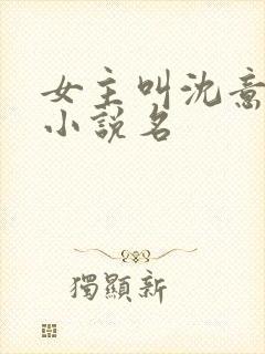 女主叫沈意欢的小说名