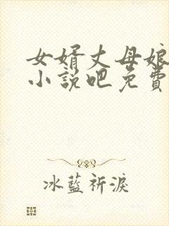 女婿丈母娘言情小说吧免费阅读全文