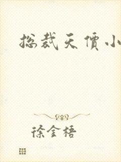 总裁天价小妻子