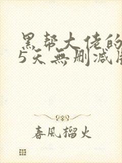 黑帮大佬的365天无删减版