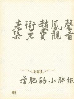 老街赵凤声13集免费观看