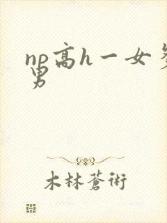 np高h一女多男