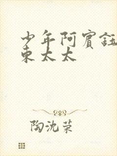 少年阿宾钰慧房东太太