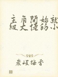 主角开始就是顶级大佬的小说