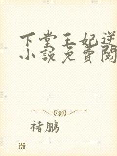 下堂王妃逆袭记小说免费阅读