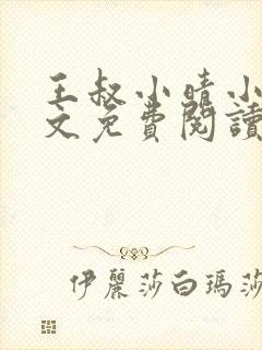 王叔小晴小说全文免费阅读封面