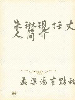 朱琳现任丈夫个人简介