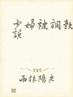 少妇被调教的小说封面