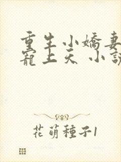 重生小娇妻大佬宠上天 小说