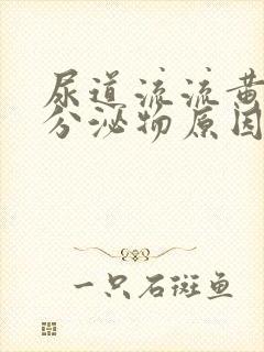 尿道流流黄脓状分泌物原因