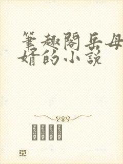 笔趣阁岳母和女婿的小说