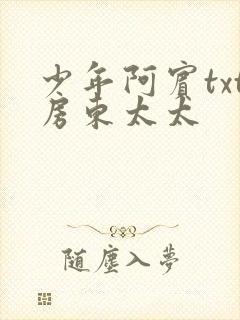 少年阿宾txt房东太太