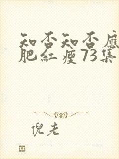 知否知否应是绿肥红瘦73集