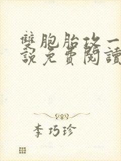 双胞胎攻一受小说免费阅读