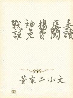 战神杨辰秦惜小说免费阅读392章