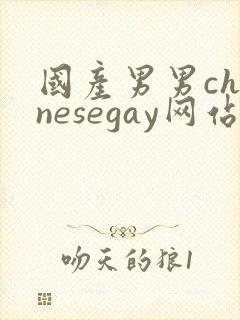 国产男男chinesegay网站