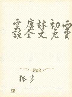 云尘林初雨的小说全文免费阅读