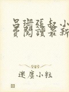 吕珊张叔小说免费阅读最新章节封面