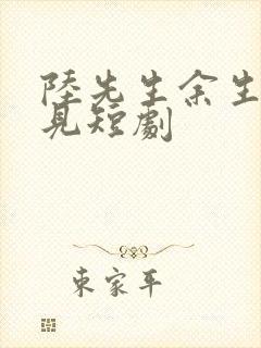 陆先生余生不再见短剧