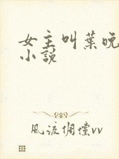 女主叫叶晚晴的小说