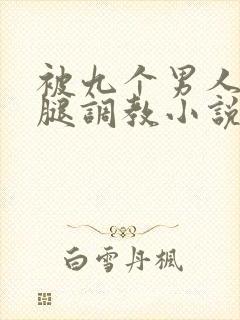 被九个男人扒开腿调教小说封面