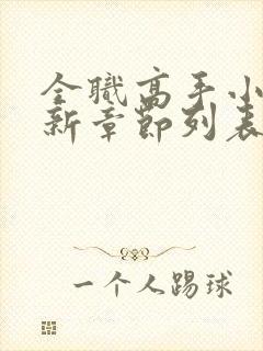 全职高手小说最新章节列表最封面