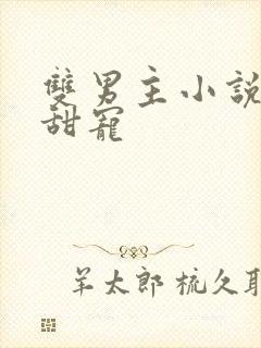 双男主小说推荐甜宠