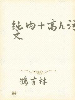 纯肉+高h污黄文