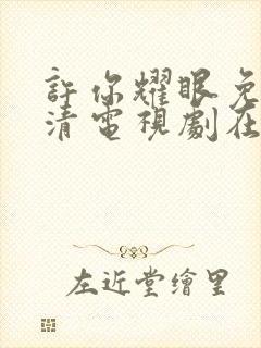 许你耀眼免费高清电视剧在线观看