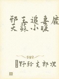 邪王追妻废材逆天苏小暖封面