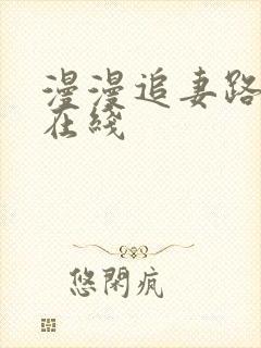 漫漫追妻路小说在线封面