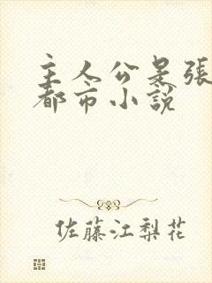 主人公是张凡的都市小说