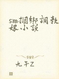 sm捆绑调教伪娘小说