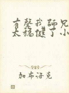 有声我师兄实在太稳健了小说