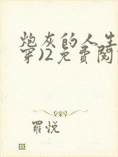 炮灰的人生(快穿)2免费阅读封面