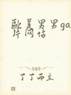 欧美男男gay片网站封面